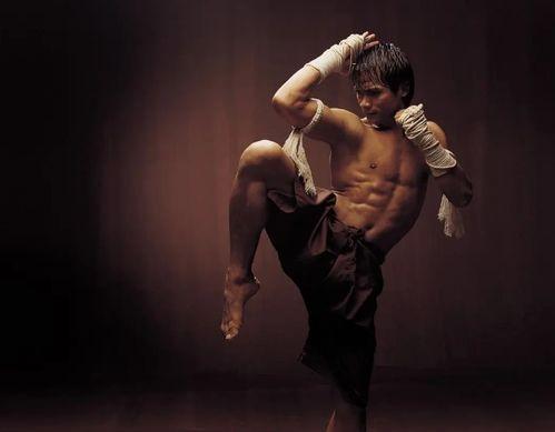 托尼 贾 在线观看,热血沸腾的打斗盛宴