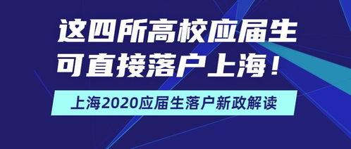 复旦大学某应届生爆料新闻,揭秘校园内幕与真实生活